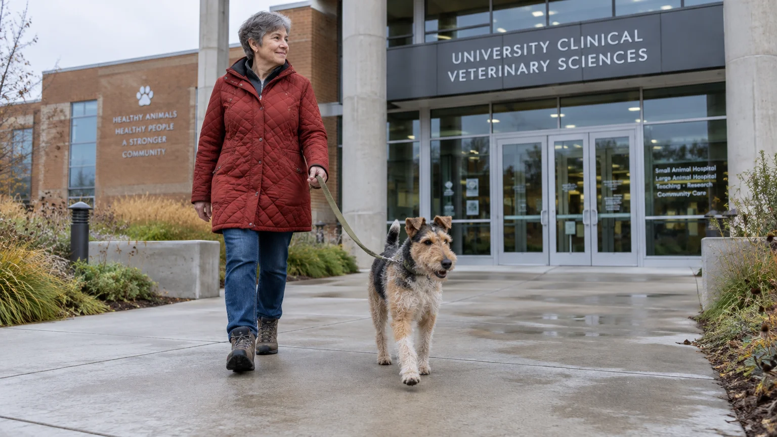A smiling woman in a red coat walks a terrier on a leash outside a university clinical veterinary sciences hospital.